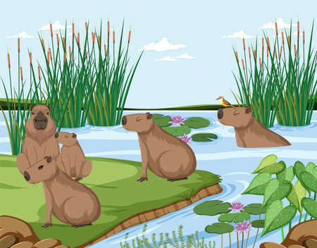 Capybara living in the nature pond illustrationのイラスト素材
