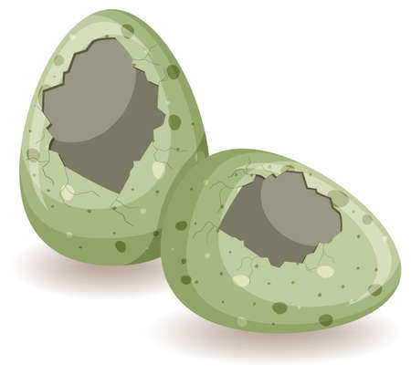 Cracking eggs on white background illustrationのイラスト素材