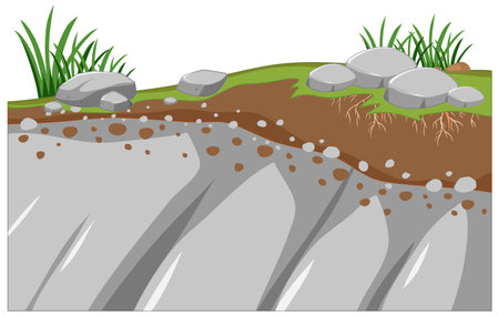 Education graphic on pioneer species illustrationのイラスト素材