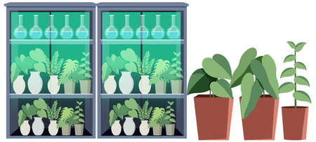 Plant shelves or green house illustrationのイラスト素材
