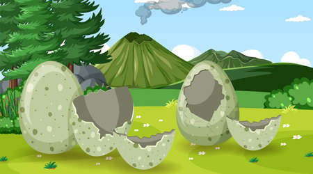 Broken eggs on the field illustrationのイラスト素材