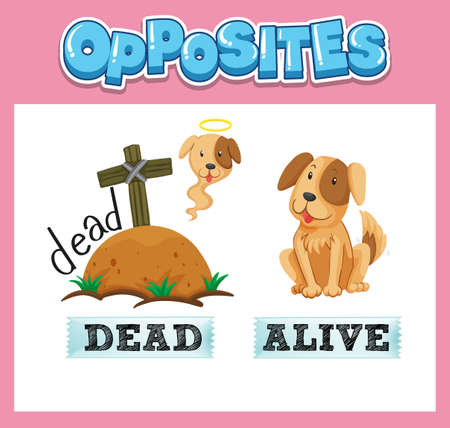 Opposite English words for kids illustrationのイラスト素材