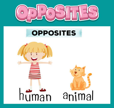 Opposite English words for kids illustrationのイラスト素材