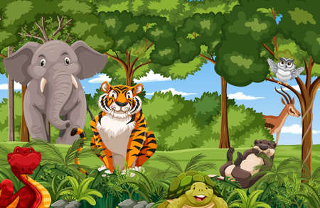 Wild animals in the forest scene illustrationのイラスト素材