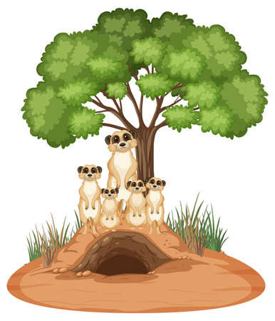 Group of meerkats with burrow in cartoon style illustrationのイラスト素材
