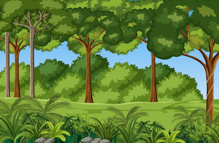 Cartoon jungle environment background illustrationのイラスト素材