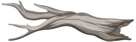 old tree branch on white background illustrationのイラスト素材