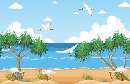 White ibis group at the beach illustrationのイラスト素材