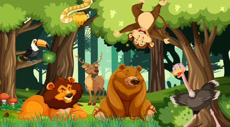 Various animals in the forest illustrationのイラスト素材