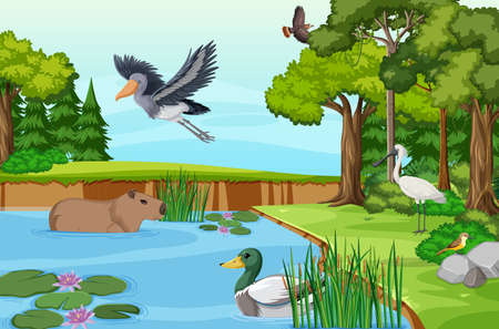 Various animals in the forest illustrationのイラスト素材