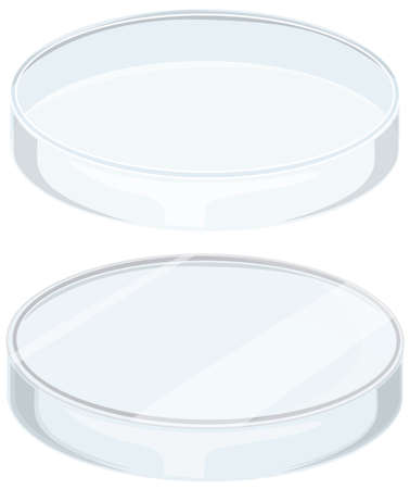 Glass petri dish on white background illustrationのイラスト素材