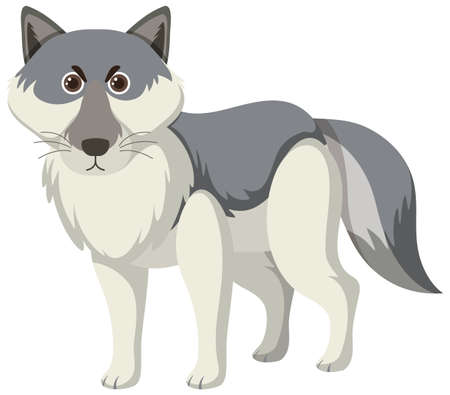 Cute wolf in flat cartoon style illustrationのイラスト素材