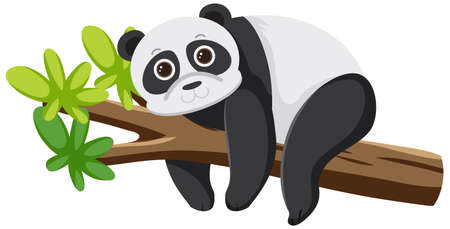 Panda bear lying on tree illustrationのイラスト素材