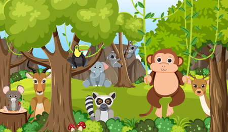 Cute wild animals in the forest illustration