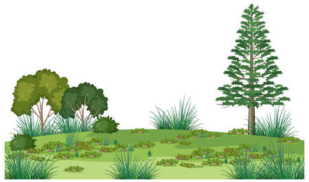 Isolated forest landscape on white background illustrationのイラスト素材