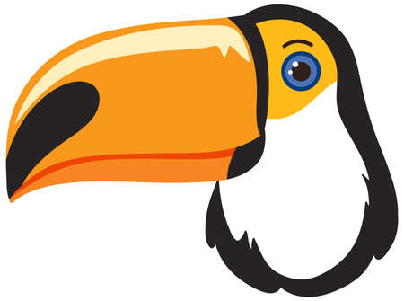 Cute toucan head in flat style illustrationのイラスト素材