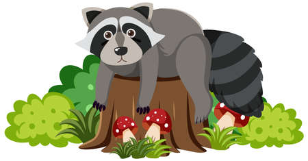 Cute raccoon in flat cartoon style illustrationのイラスト素材
