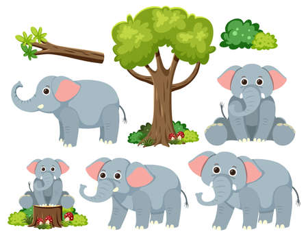 Wild animals set with nature elements illustrationのイラスト素材