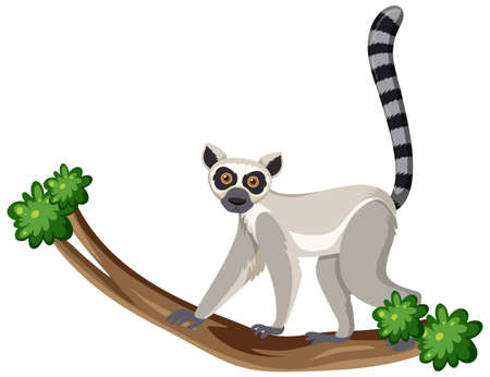 World Cotton Day October 7 Banner Design illustration