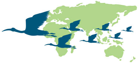 Wild animals around the world illustrationのイラスト素材