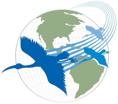World Migratory Bird Day Banner Concept illustrationのイラスト素材