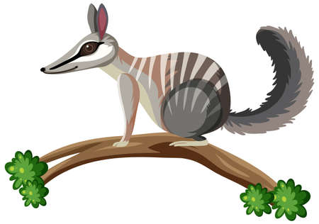 Side view of lemur isolated illustrationのイラスト素材