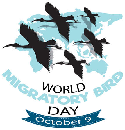 World Migratory Bird Day Banner Concept illustrationのイラスト素材