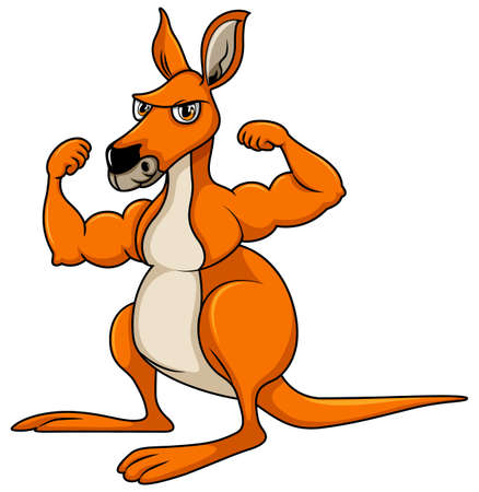 Muscular kangaroo cartoon character illustrationのイラスト素材