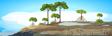 Mangrove forest outdoor background illustrationのイラスト素材