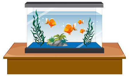 Aquarium tank with gold fishes on white background illustrationのイラスト素材