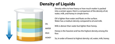 Density of Liquids Science Experiment illustrationのイラスト素材