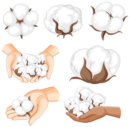 Set of cotton isolated cartoon illustrationのイラスト素材