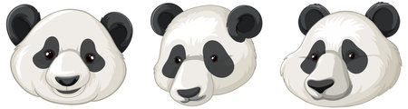 Panda cartoon face images illustrationのイラスト素材