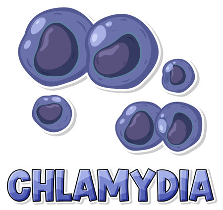 Chlamydia trachomatis virus on white background illustrationのイラスト素材