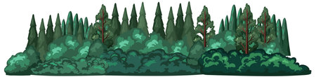 Coniferous forest on white background illustrationのイラスト素材