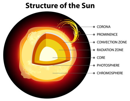 The Structure of the Sun illustrationのイラスト素材