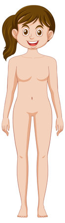 Caucasian woman growth and development illustrationのイラスト素材