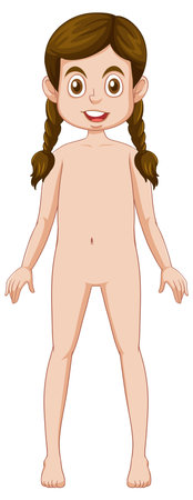 Caucasian woman growth and development illustrationのイラスト素材