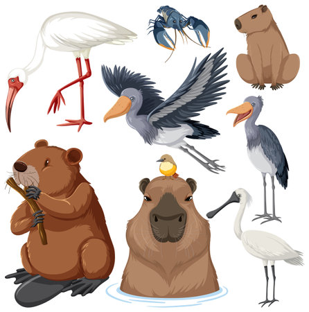 Various Wetland Animals Collection illustrationのイラスト素材