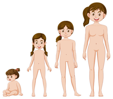 Woman growth and development illustrationのイラスト素材
