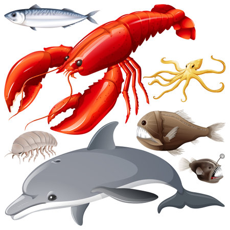 Underwater Creature Vector Set illustrationのイラスト素材