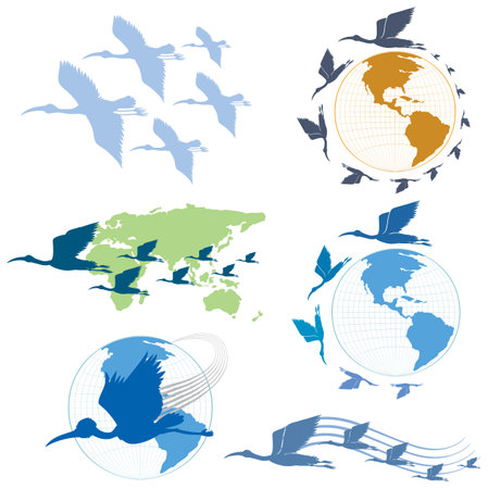 Set of different bird cartoon characters illustrationのイラスト素材