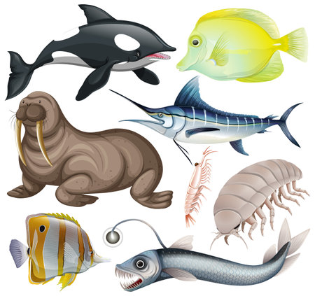 Sea Animals Vector Collection illustrationのイラスト素材