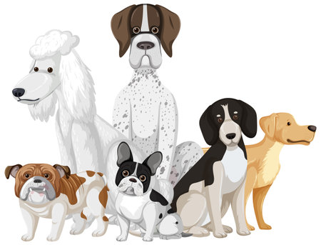 Set of dog dog breeds cartoon illustrationのイラスト素材