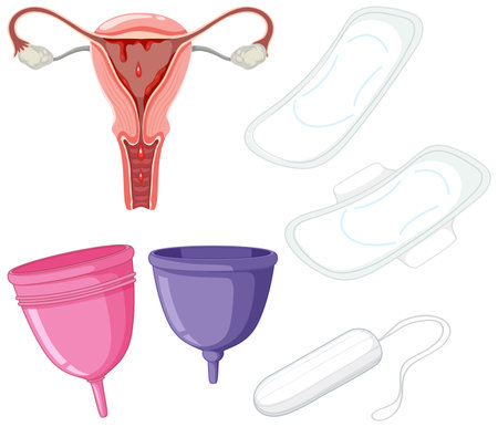 Set of menstrual equipment illustrationのイラスト素材