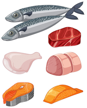 Assorted Meat and Seafood Vector for Menu Design illustrationのイラスト素材