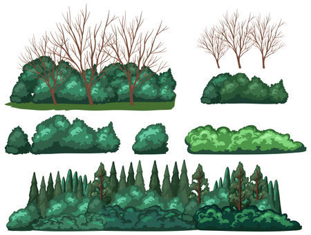Set of tree isolated illustrationのイラスト素材