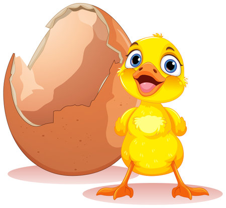 Little Duck Hatching from Egg illustrationのイラスト素材