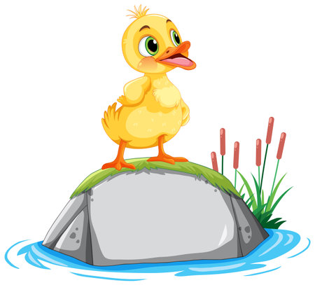 Little Duck Standing on a Rock illustrationのイラスト素材