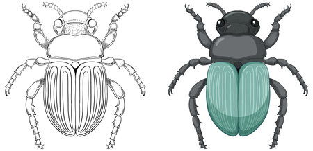 Scarab Beetle Outline for Colouring illustrationのイラスト素材